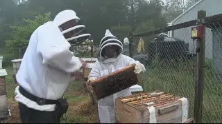 September is National Honey Month | 28/22 News