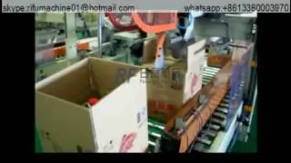 carton case packer for edible oil bottle
