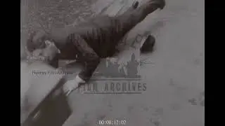 Mugging and Robbery on the Street, 1960s - Archive Film 1053719