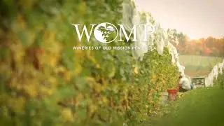 WOMP &ndash; 