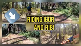 Riding Igor and rib at silvan