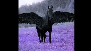 KANYE WEST X CLAMS CASINO TYPE BEAT 