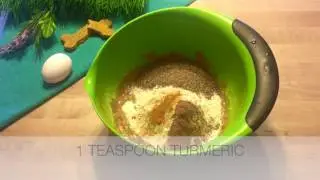 YUMMY PUMPKIN PIE DOG TREATS
