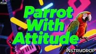 [Free]  Parrot With Attitude #ParrotWithAttitude #FunnyInstrumental #QuirkyBeats #CaptainVsParrot