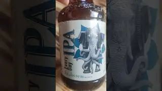 ИПА на каждый день от Таркос, версия 2 , Пиво IPA Every Day  #пиво #пивнойобзор #доброслав13