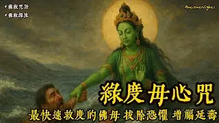 綠度母心咒源流：最快速救度的佛母 拔除恐懼 增福延壽 #佛教 #綠度母 #綠度母心咒 #佛教故事  #藏傳佛教 