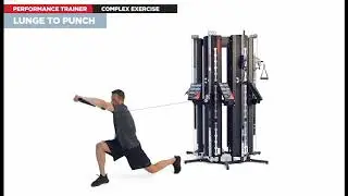 Lunge to Punch / Wellness Pro