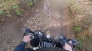 Kymco KXR 250