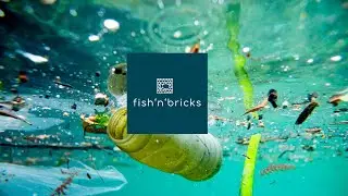 Fish&acute;N&acute;Bricks: Turning Plastic Waste into Homes