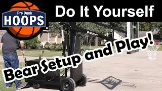 Pro Dunk Bear Portable Hoop Setup and Play
