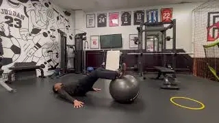 Swiss Ball Hamstring Curl