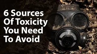 6 Sources Of Toxicity You Need To Avoid
