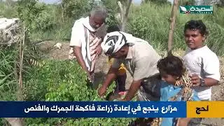 الجمرك و الفنص.. فاكهة شتلاتها من الهند نجح مزارع بزراعتها في لحج