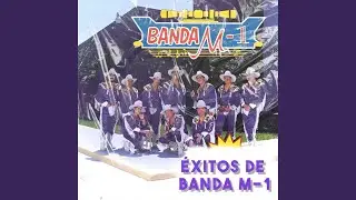Que Bonita Te Vez