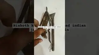 Nishoth kali black turbad indian jalap nutrixia.in