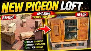 New pigeon loft | how to make pigeon cage? | Apple box la pura koondu saivathu eppadi? | Pr Pigeons
