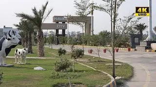 NAWAB CITY visit | Sargodah Road |
