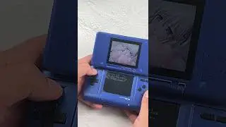 Что будет если запустить вирус на Nintendo DS? / What happens if you run a virus on a Nintendo DS?