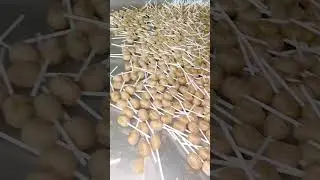Lollipop Making Factory