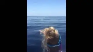 OWC 2015 practice day