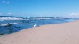 Nina, na linda praia de Ipitanga ao som de Michael Jackson