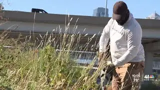 Kansas City, Missouri, resident volunteering to clean up city ahead of World Cup