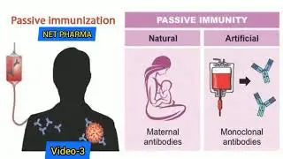 #Immunological products for passive Immunization Video 3|#Pathophysiology|#Pharmacy|#Important #Drug