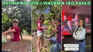 Cleide Lifestyle plantando mudas e enchendo uma jarra com água de coco + Viagem a São Paulo