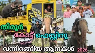 പയ്യനങ്ങാടി തിരൂർ കോട്ട് ഫെസ്റ്റിനു വന്നിറങ്ങിയ ആനകൾ അമ്പാടി ബാലൻ ലിബർട്ടി ഉണ്ണിക്കുട്ടൻ #Mrcvlogs