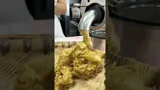 Flax seeds oil presser