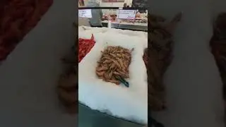 Cannington Fish Market