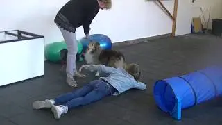 Animaliens Video pr&eacute;sentation