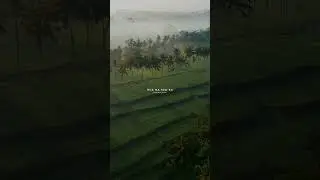 Zamana Dekha Sara Hai Sabka Sahara | WhatsApp Status | Lofi Slowed Song | #shorts #viral #trending