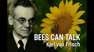 Karl Von Frisch