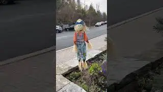 Halloween moods at  Rockwood Park