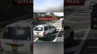 Cop Probably Said It's Your Lucky Day Pal #truck #instantkarma #idiotsincars #dashcam