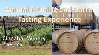 Annual Pruning and Barrel Tasting Experience - Cinnabar Winery - Gilroy, CA