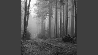 Coffins in My Head