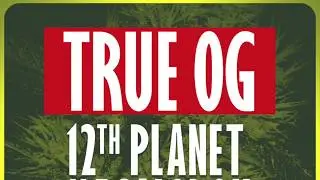 12th Planet, Megalodon & 50 Carrot- 