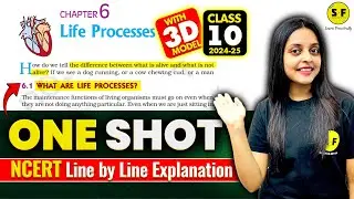 Life Processes One Shot with 3d Model | Class 10 Biology NCERT line by line explanation Sonam Maam