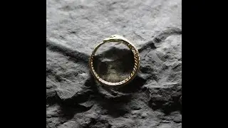 Ouroboros Ring Snake eating tale Gold Edition
