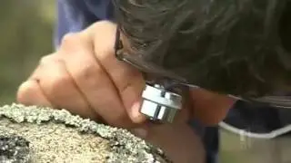 Spider discovery