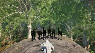 Taking over the server as a galli army - Gallimimus Gameplay - The Isle Evrima