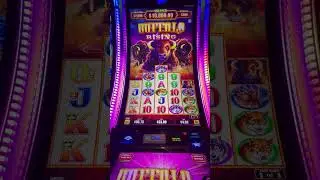 Buffalo Triple Power Bonus Time #win #bonus #gambling #slot #casino #yamaava