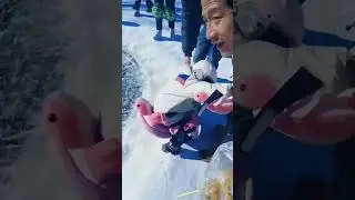 4269: Ice pit challenge in Jilin: A hilarious test of endurance for a southern visitor