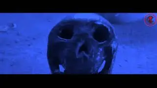 Bhoot Police | new trailers | New Bollywood Trailer