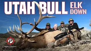 Utah Bull Elk Down | Precision Hunting Supply