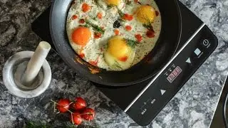 Induxpert 1800 Watt Portable and Lightweight Induction Cooktop Burner