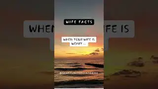 14. Wife Facts #shortmovies #psychologyfacts #wife #facts #wifefacts #psychology #quotes