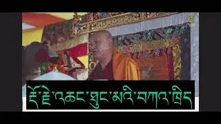 ༧ སྐྱབས་རྗེ་གྲུབ་དབང་སངས་རྒྱས་མཉན་པ་རིན་པོ་ཆེ་གསུང་རྡོ་རྗེ་འཆང་ཐུང་མའི་བཀའ་ཁྲིད། 🙏🙏🙏Sangye Nyenpa 🙏🙏